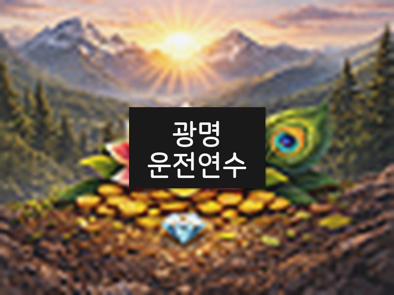 광명운전연수 후기