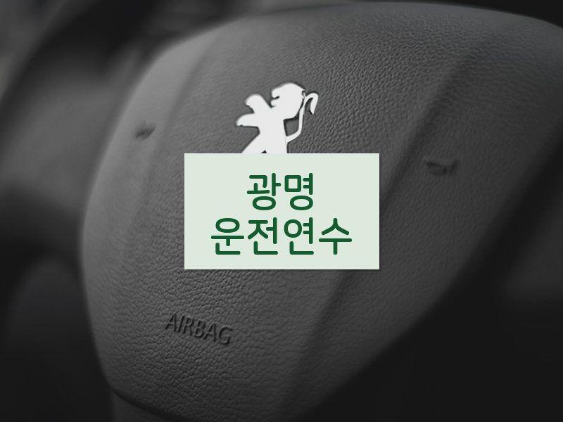 광명운전연수 후기