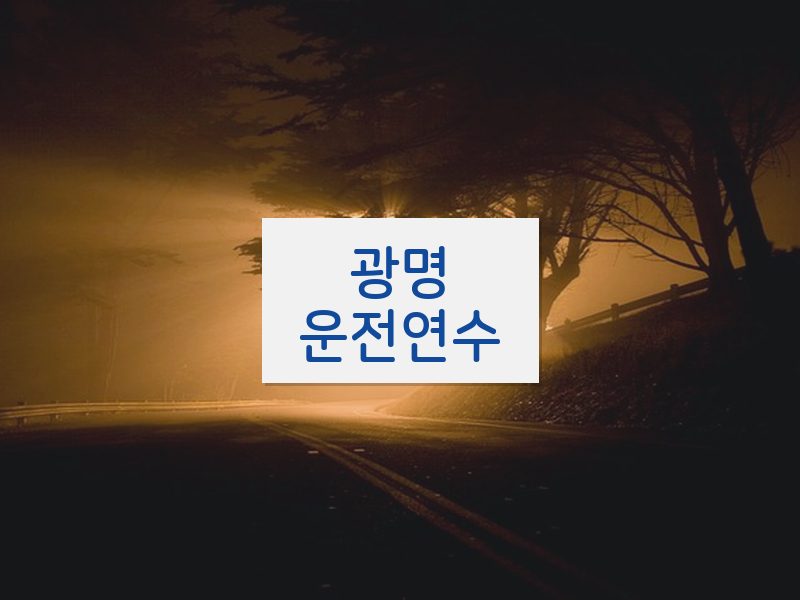 광명운전연수 후기