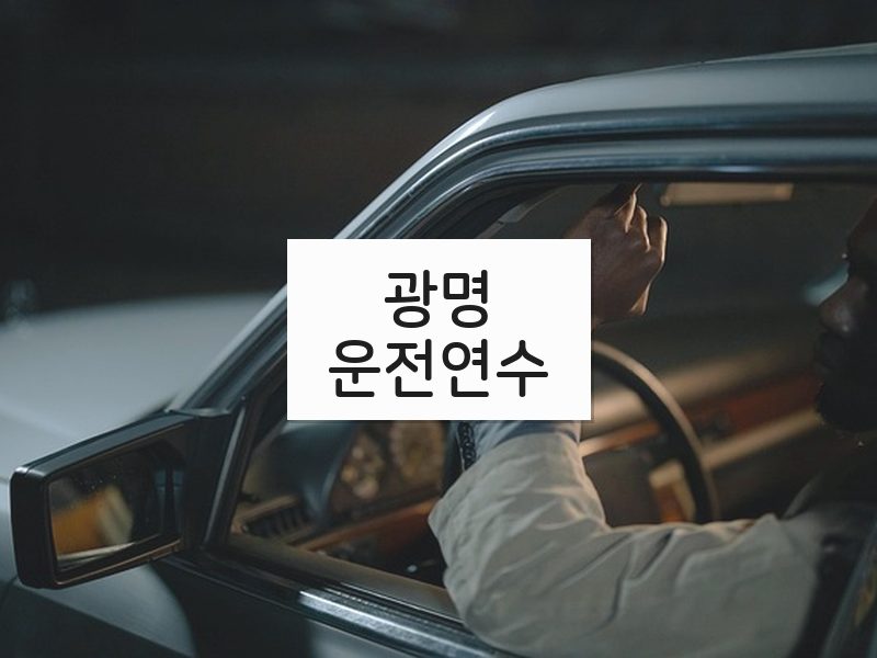 광명운전연수 후기