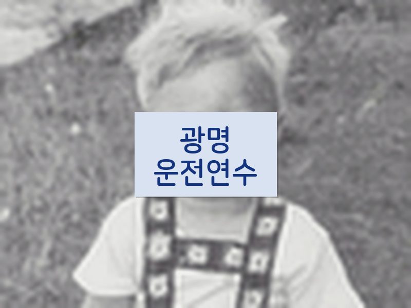 광명운전연수 후기