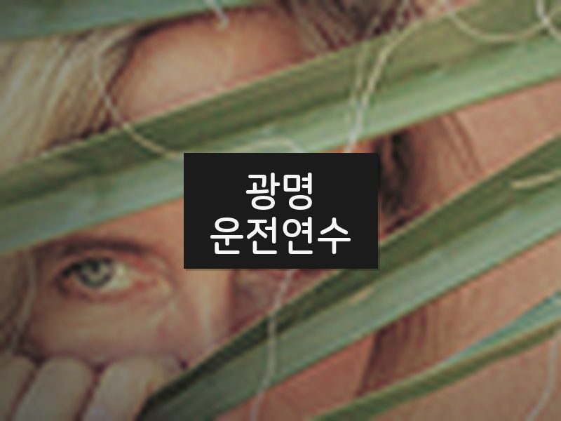 광명운전연수 후기