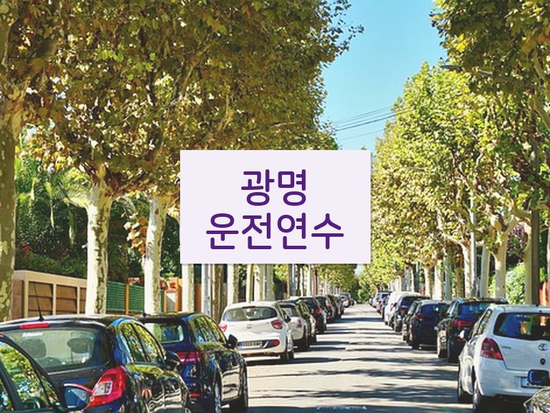 광명운전연수 후기