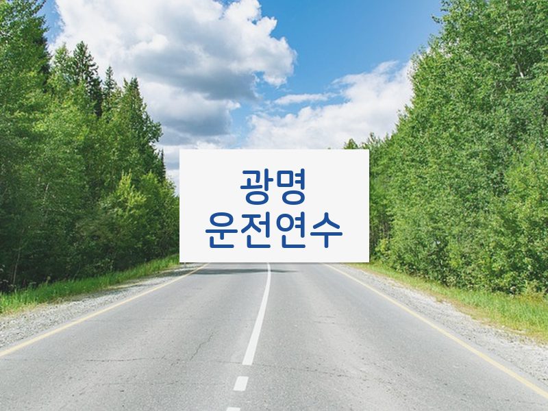 광명운전연수 후기