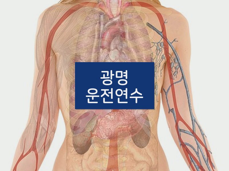 광명운전연수 후기