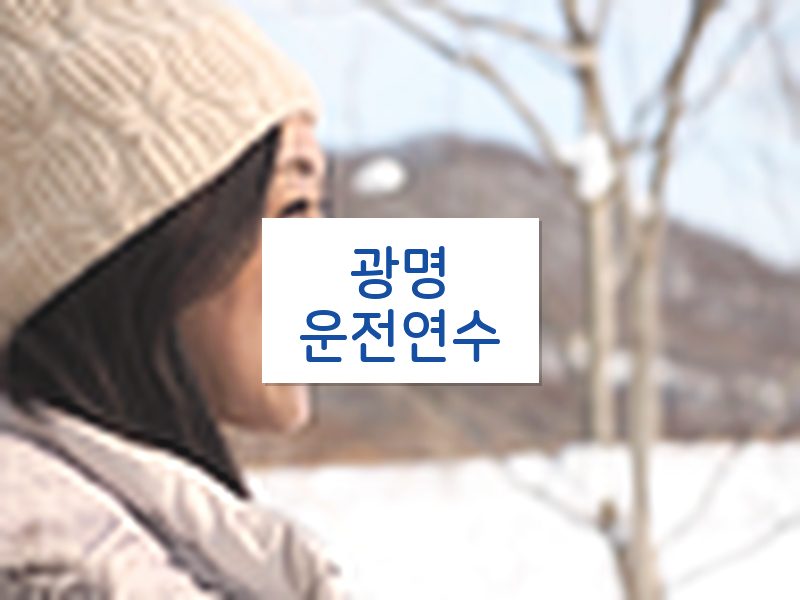 광명운전연수 후기