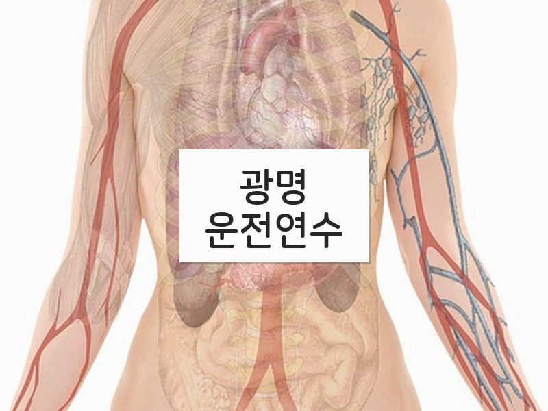 광명운전연수 후기