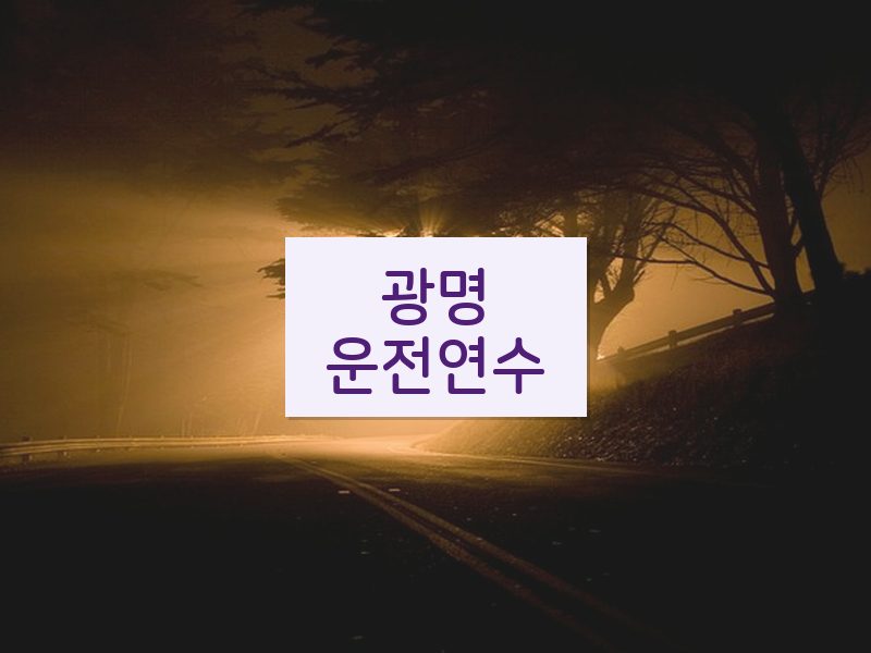 광명운전연수 후기