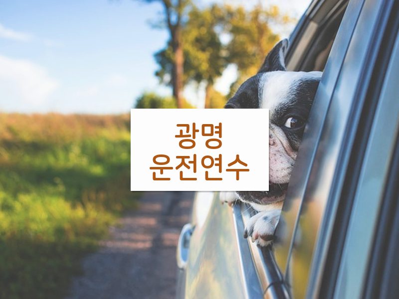 광명운전연수 후기
