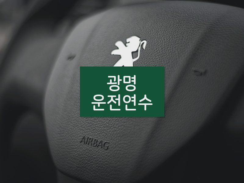 광명운전연수 후기