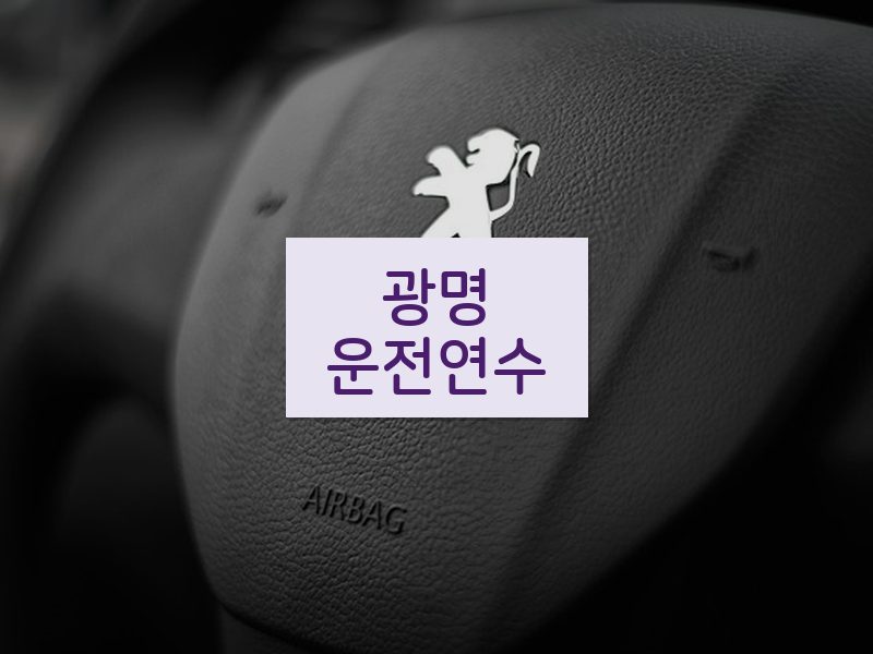 광명운전연수 후기