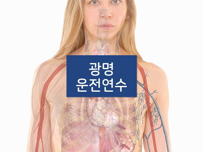 광명운전연수 후기
