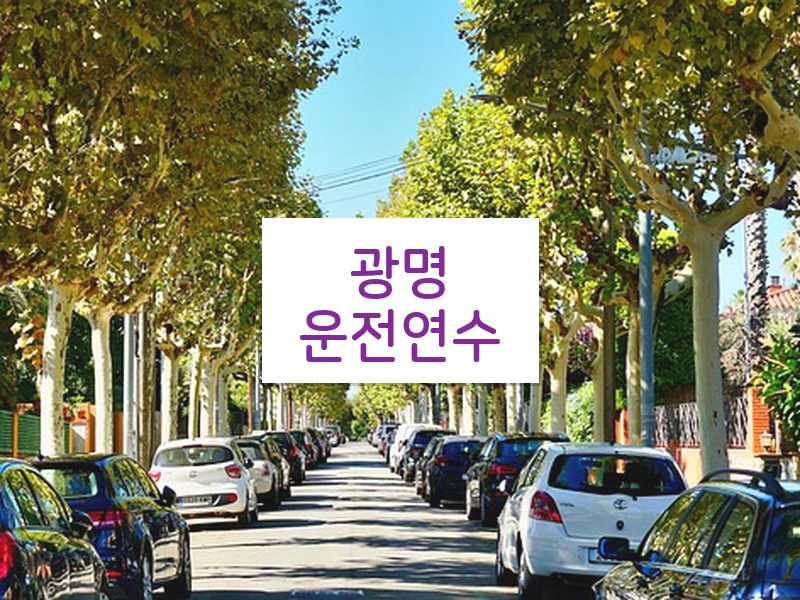 광명운전연수 후기