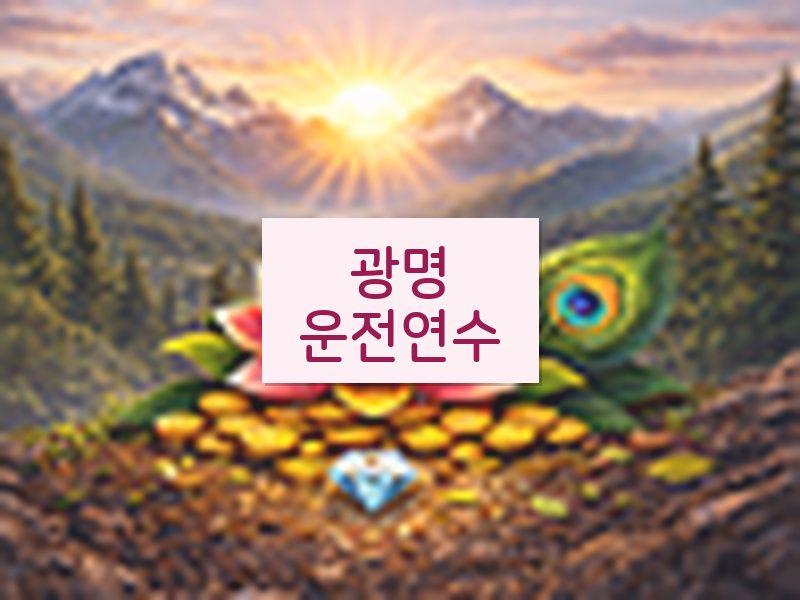 광명운전연수 후기