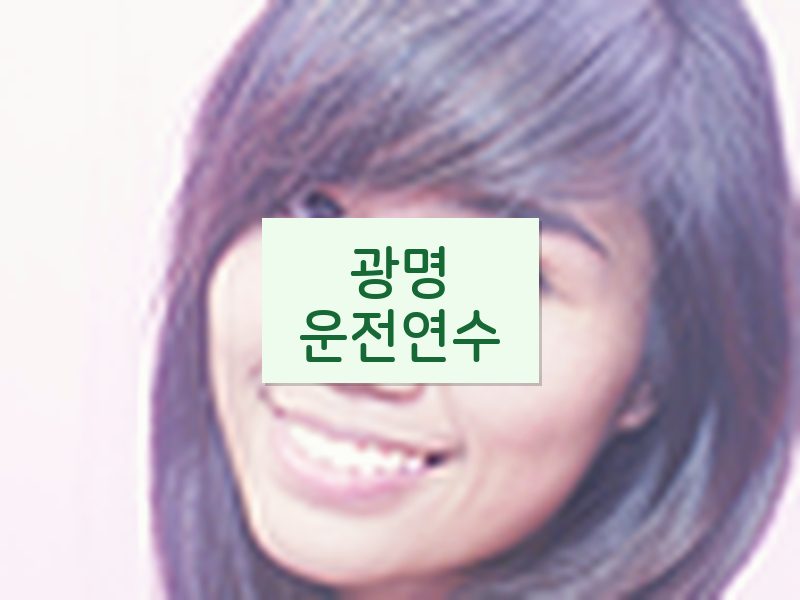 광명운전연수 후기