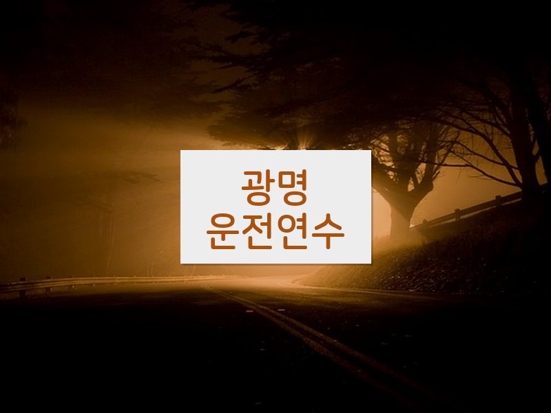 광명운전연수 후기