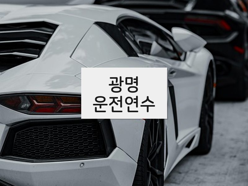 광명운전연수 후기