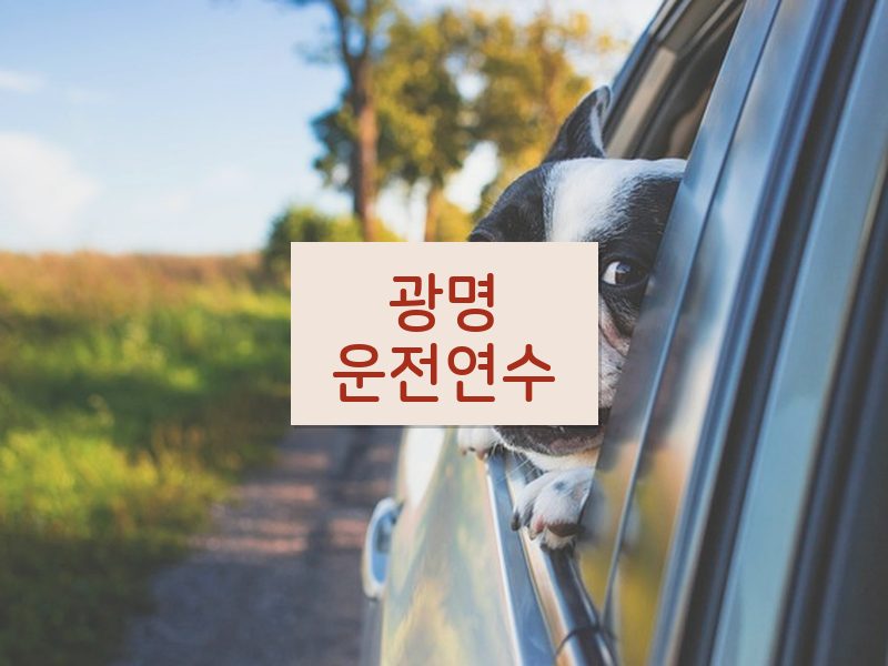 광명운전연수 후기