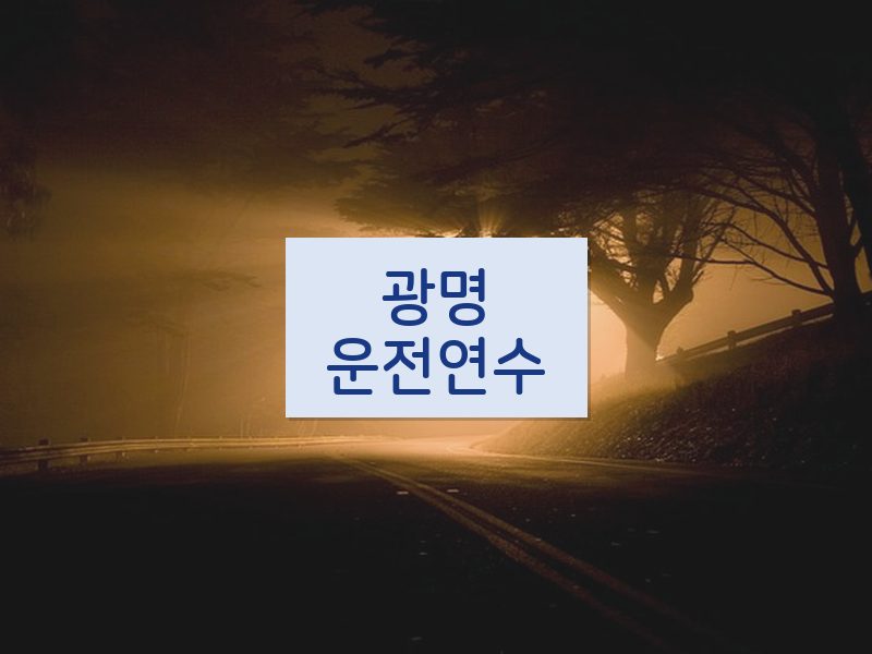 광명운전연수 후기