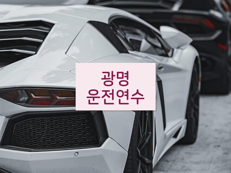 광명운전연수 후기