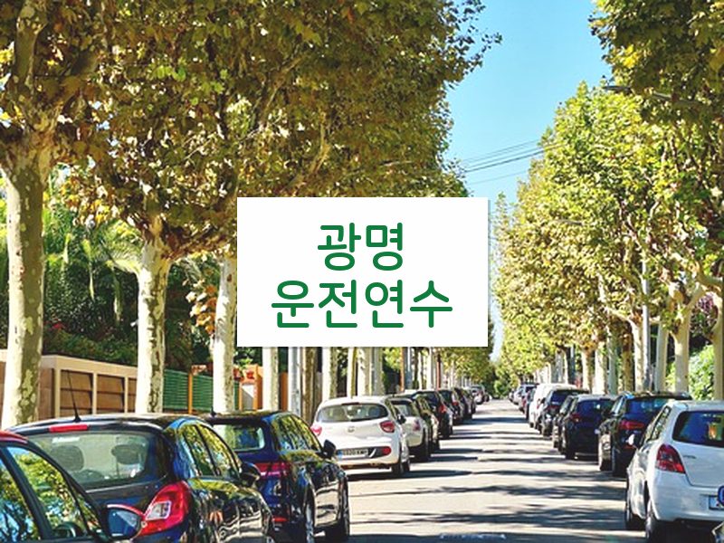 광명운전연수 후기