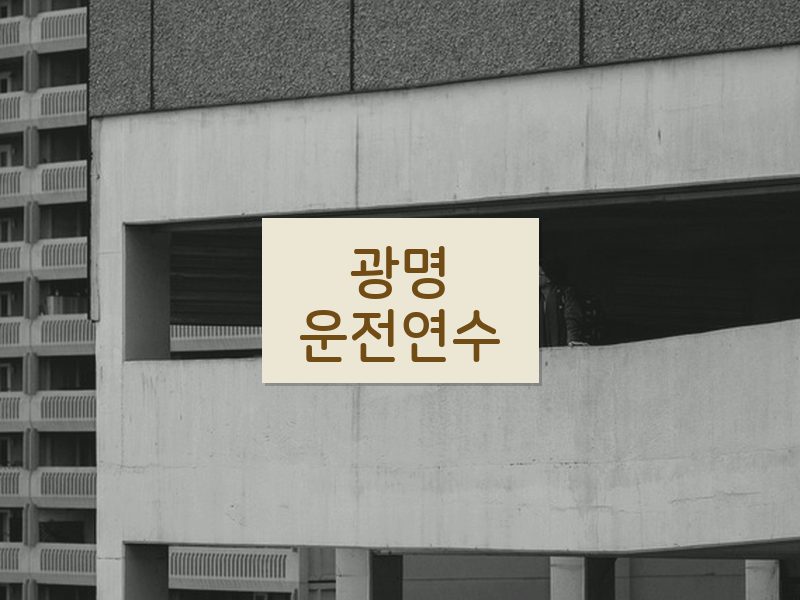 광명운전연수 후기