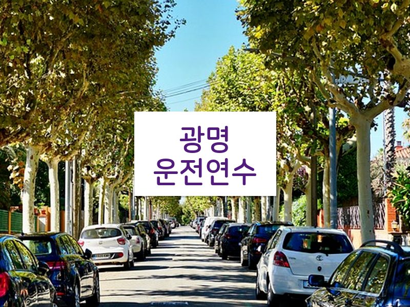 광명운전연수 후기