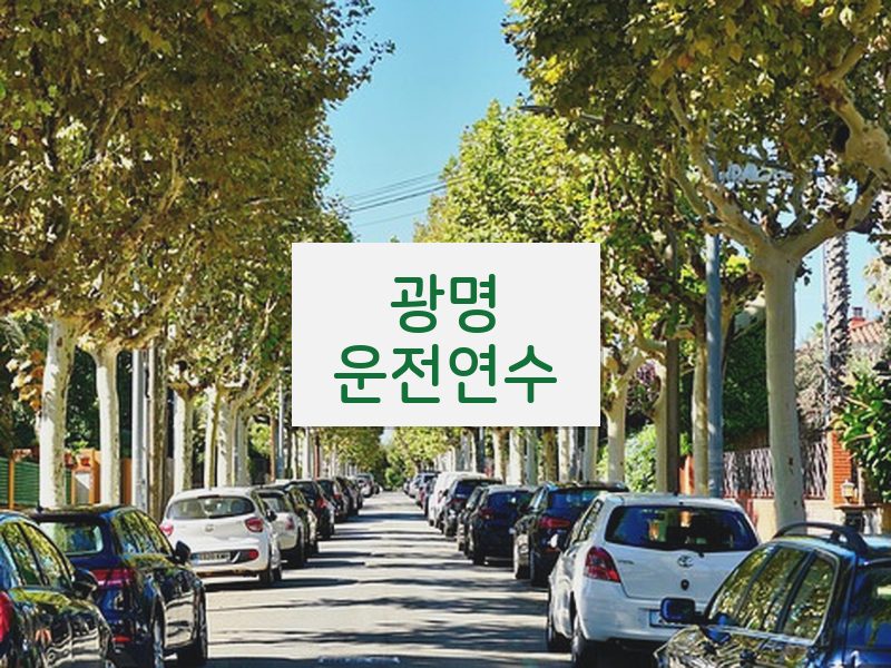 광명운전연수 후기