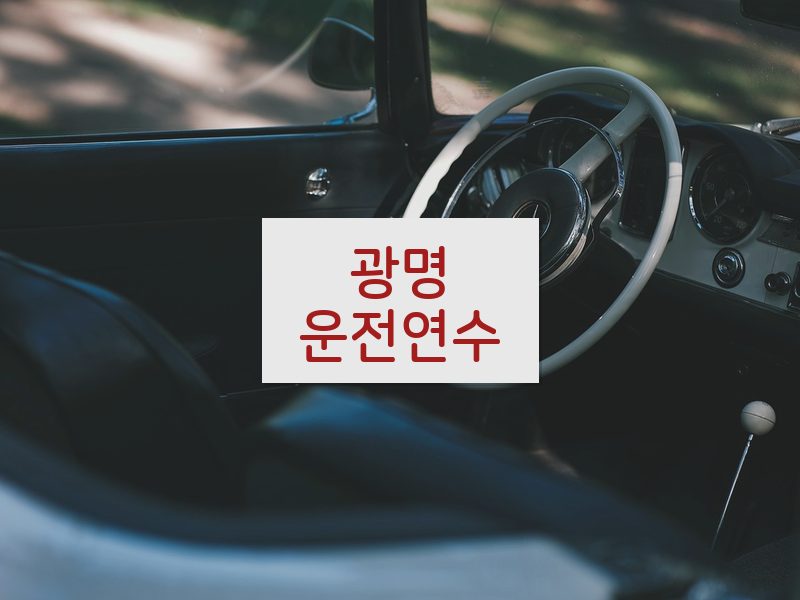 광명운전연수 후기