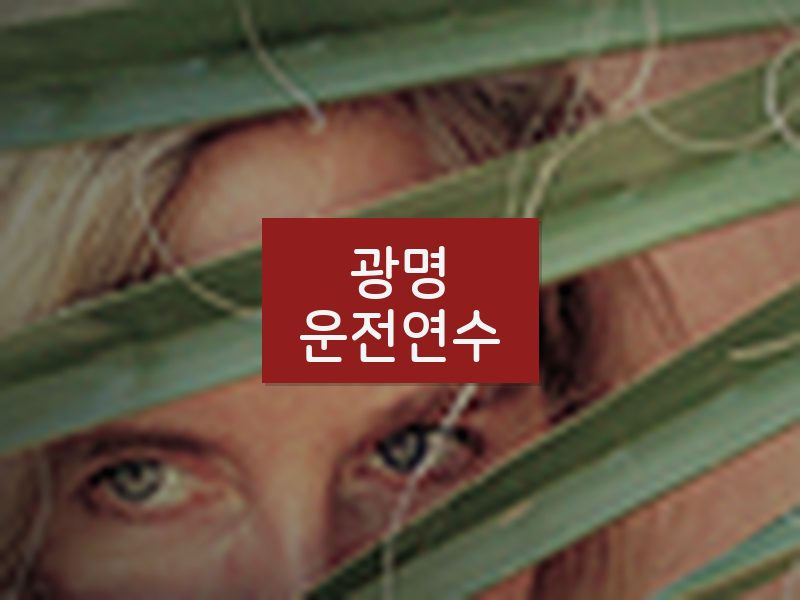 광명운전연수 후기