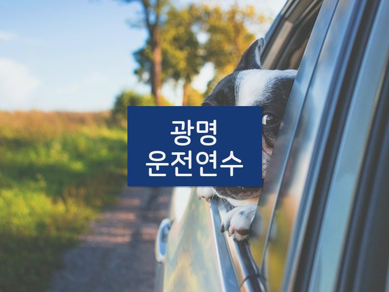 광명운전연수 후기