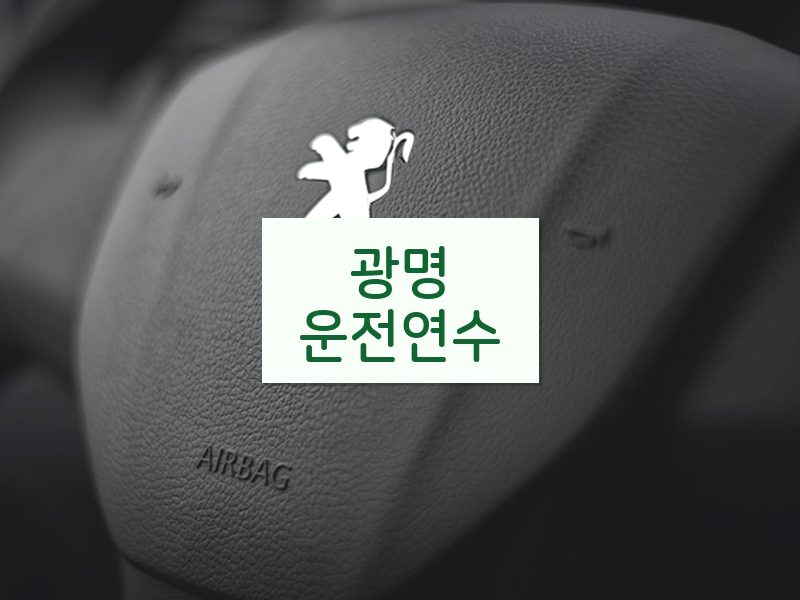 광명운전연수 후기