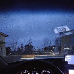 40대 늦깎이 운전 후기 이미지