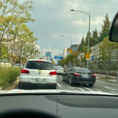 동료와 함께 타는 차 운전