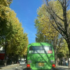 광명 도로 정체 운전